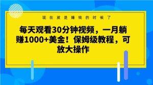 每天观看30分钟视频，一月躺赚1000+美金！保姆级教程，可放大操作【揭秘】-大熊网创
