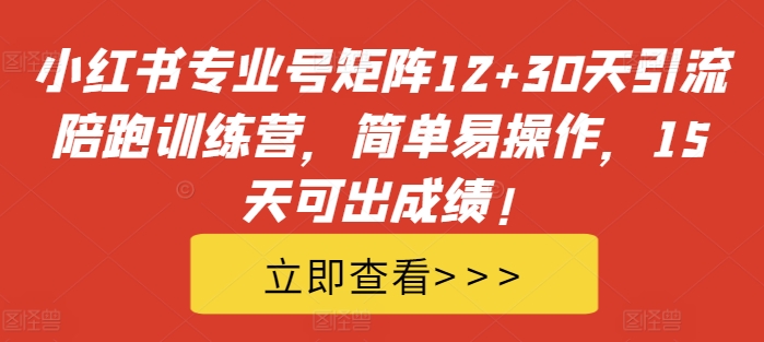 小红书专业号矩阵12+30天引流陪跑训练营，简单易操作，15天可出成绩!-大熊网创