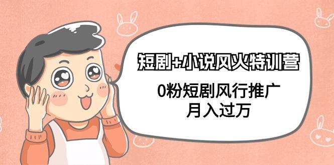 (9374期)短剧+小说风火特训营，0粉短剧风行推广，月入过万(102节课)-大熊网创