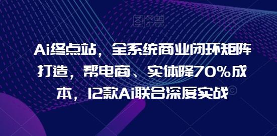 Ai终点站，全系统商业闭环矩阵打造，帮电商、实体降70%成本，12款Ai联合深度实战-大熊网创