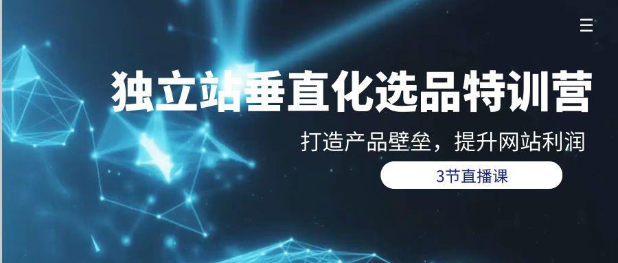 (9925期)独立站-垂直化选品训练营，打造产品壁垒，提升网站利润(3节直播课)-大熊网创