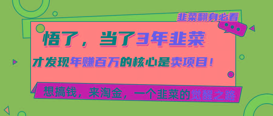 悟了，当了3年韭菜，才发现网赚圈年赚100万的核心是卖项目，含泪分享！-大熊网创