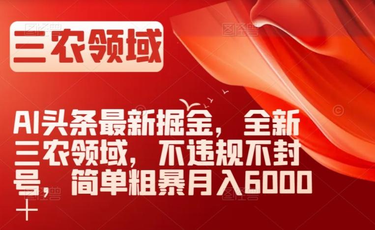 AI头条最新掘金，全新三农领域，不违规不封号，简单粗暴月入6000＋【揭秘】-大熊网创