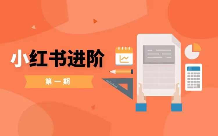 小红书进阶篇，零基础小白实战课，普通人变现的课程-大熊网创