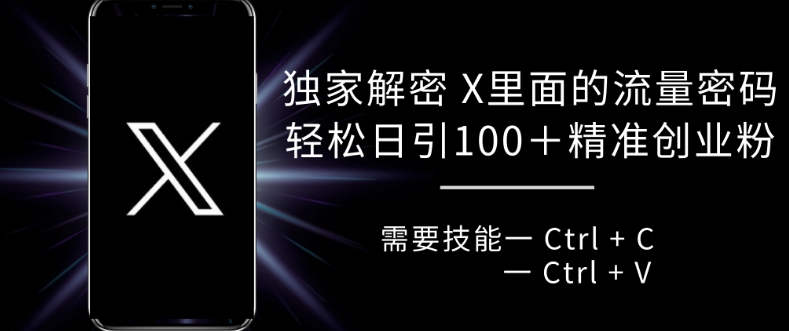 独家解密 X 里面的流量密码，复制粘贴轻松日引100+-大熊网创