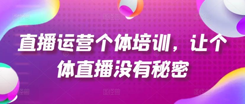直播运营个体培训，让个体直播没有秘密，起号、货源、单品打爆、投流等玩法-大熊网创