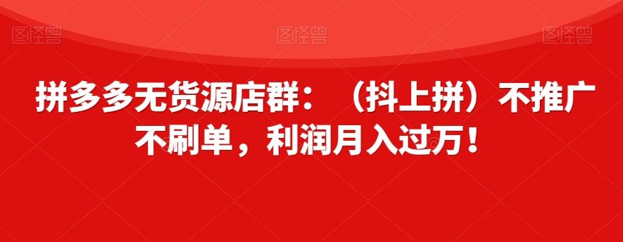 拼多多无货源店群：（抖上拼）不推广不刷单，利润月入过万！【揭秘】-大熊网创