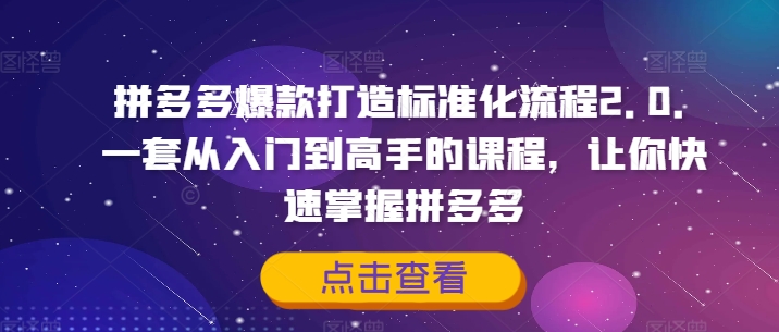 拼多多爆款打造标准化流程2.0，一套从入门到高手的课程，让你快速掌握拼多多-大熊网创
