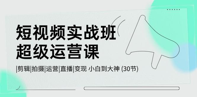 短视频实战班超级运营课 |剪辑|拍摄|运营|直播|变现 小白到大神 (30节)-大熊网创