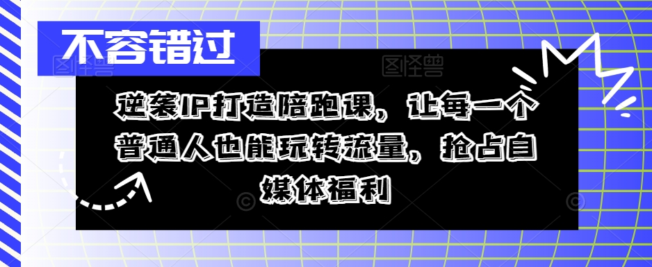 逆袭IP打造陪跑课，让每一个普通人也能玩转流量，抢占自媒体福利-大熊网创