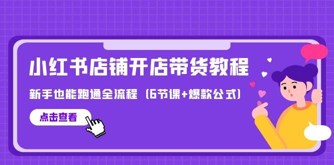 (9883期)最新小红书店铺开店带货教程，新手也能跑通全流程(6节课+爆款公式)-大熊网创