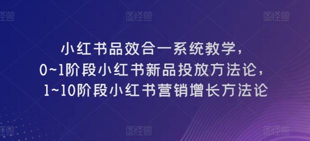 小红书品效合一系统教学，​0~1阶段小红书新品投放方法论，​1~10阶段小红书营销增长方法论-网创星球