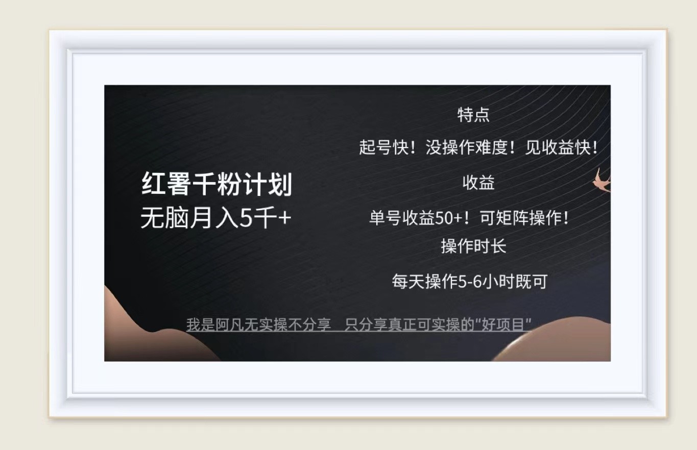 红薯千粉计划无脑月入5千+！既做既赚！-大熊网创
