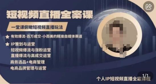 高品质IP短视频直播全案课程，一堂课俯瞰短视频直播玩法-大熊网创