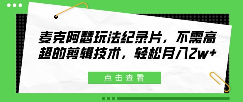 麦克阿瑟玩法纪录片，不需高超的剪辑技术，轻松月入2w+【揭秘】-网创星球