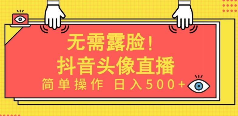 无需露脸，Ai头像直播项目，简单操作日入500+【揭秘】-大熊网创