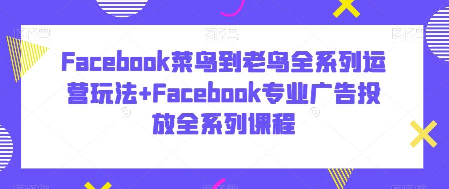 Facebook菜鸟到老鸟全系列运营玩法+Facebook专业广告投放全系列课程-大熊网创
