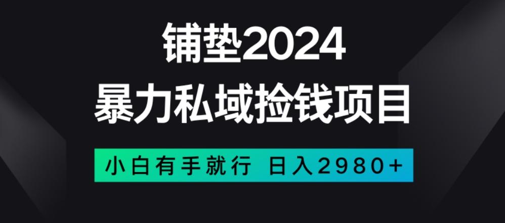 暴力私域捡钱项目，小白无脑操作，日入2980【揭秘】-大熊网创
