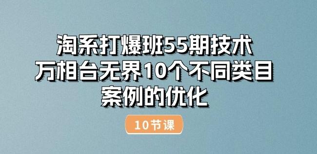 淘系打爆班55期技术：万相台无界10个不同类目案例的优化(10节)-大熊网创
