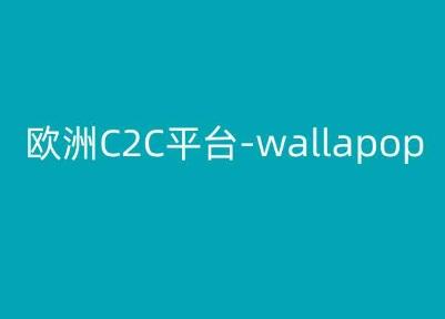 欧洲C2C平台-wallapop-kim跨境电商教程-大熊网创