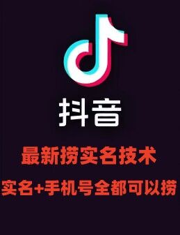 最新技术抖音捞实名+捞手机号技术，抖音直播封禁释放十名/手机号，直接替换出来!-大熊网创