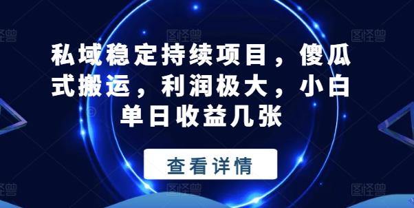 私域稳定持续项目，傻瓜式搬运，利润极大，小白单日收益几张【揭秘】-网创星球