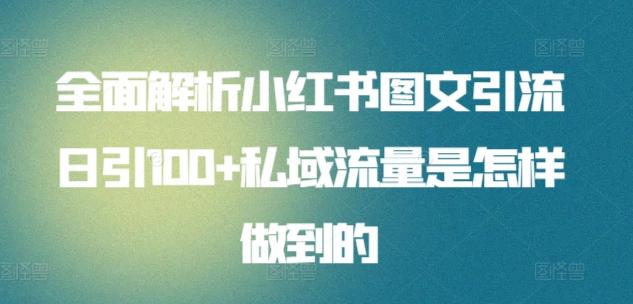 全面解析小红书图文引流日引100+私域流量是怎样做到的【揭秘】-大熊网创