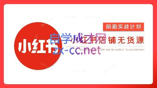 安琪·小红书店铺无货源-大熊网创