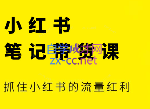 张宾·小红书笔记带货课(更新24年7月)-大熊网创