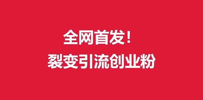 (全网首发)外面收费几千的裂变引流高质量创业粉-大熊网创