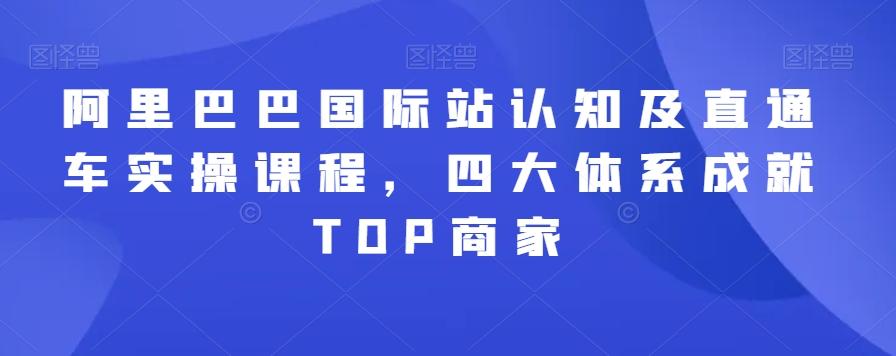 阿里巴巴国际站认知及直通车实操课程，四大体系成就TOP商家-大熊网创