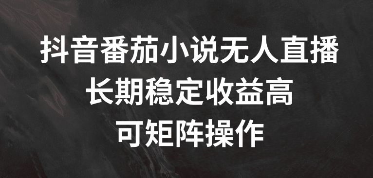 抖音番茄小说无人直播，长期稳定收益高，可矩阵操作【揭秘】-大熊网创