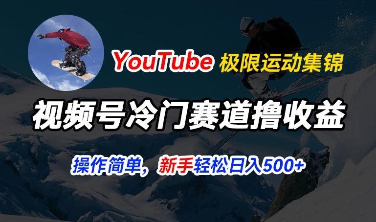 视频号冷门赛道撸收益，YouTube搬运极限运动集锦，暴力起号，操作简单流量高，轻松日入5张【揭秘】-大熊网创