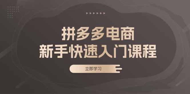 拼多多电商新手快速入门课程：涵盖基础、实战与选款，助力小白轻松上手-大熊网创