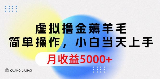 (9864期)虚拟撸金薅羊毛，简单操作，小白当天上手，月收益5000+-大熊网创