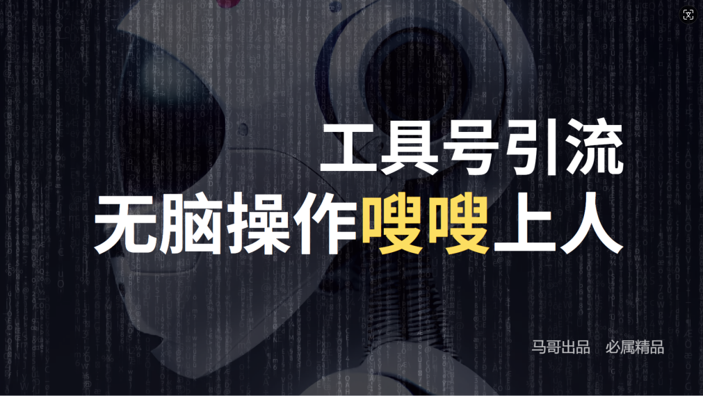 24年抖音最新工具号日引流300+创业粉，日入5000+-大熊网创
