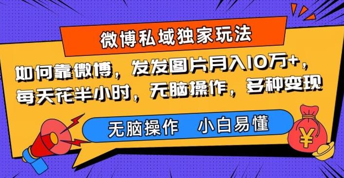 如何靠微博，发发图片月入10万+，‌每天花半小时，无脑操作，多种变现-大熊网创