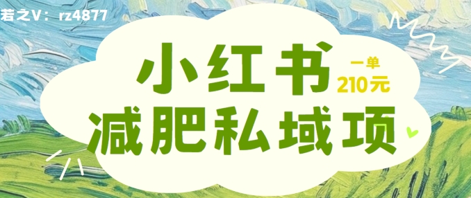 小红书减肥粉，私域变现项目，一单就达210元，小白也能轻松上手【揭秘】-大熊网创