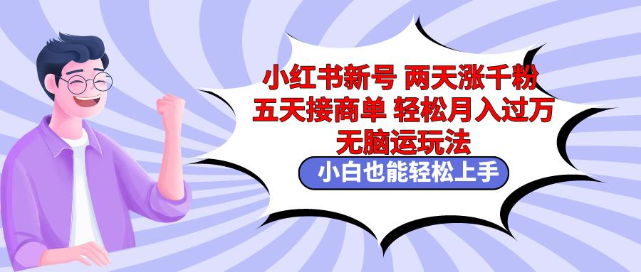 小红书新号两天涨千粉五天接商单轻松月入过万 无脑搬运玩法 小白也能轻…-大熊网创