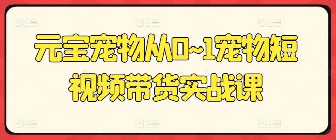 元宝宠物从0~1宠物短视频带货实战课-大熊网创