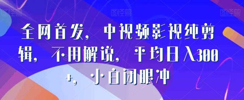 全网首发，中视频影视纯剪辑，不用解说，平均日入300+，小白闭眼冲-大熊网创