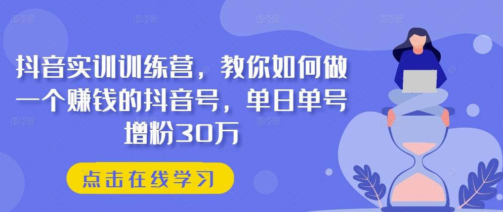 抖音实训训练营，教你如何做一个赚钱的抖音号，单日单号增粉30万-大熊网创
