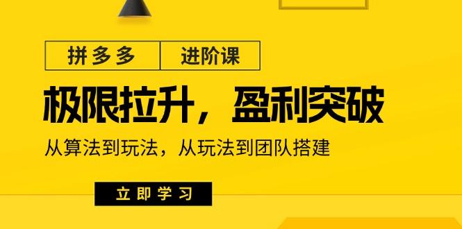 拼多多·进阶课：极限拉升/盈利突破：从算法到玩法 从玩法到团队搭建-18节-大熊网创