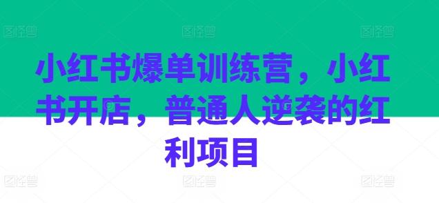 小红书爆单训练营，小红书开店，普通人逆袭的红利项目-网创星球