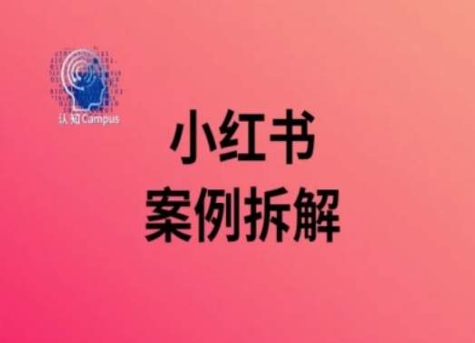 小红书案例拆解，深度解读小红书40万粉-大熊网创