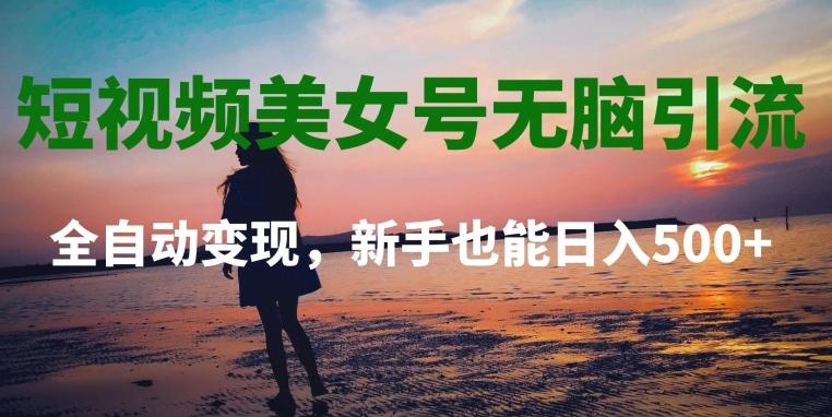 短视频美女号无脑引流，全自动变现，新手也能日入500+-大熊网创
