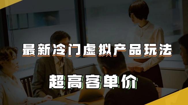 最新冷门虚拟产品玩法，超高客单价，月入2-3万＋【揭秘】-大熊网创