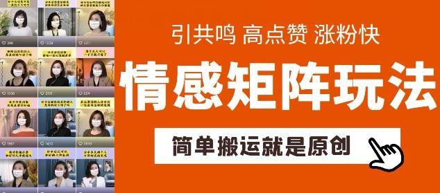 简单搬运，情感矩阵玩法，涨粉速度快，可带货，可起号【揭秘】-大熊网创