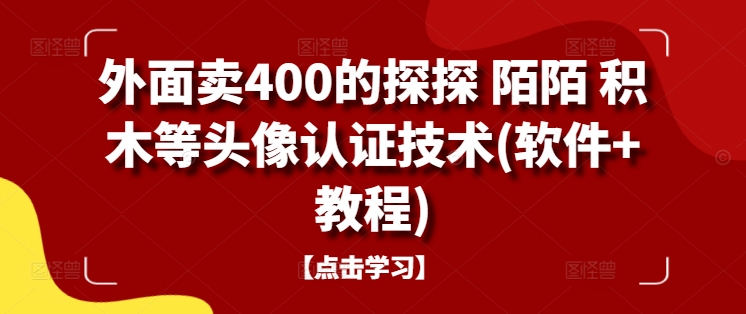 外面卖400的探探 陌陌 积木等头像认证技术(软件+教程)-大熊网创