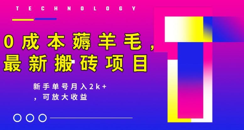 0成本薅羊毛，最新搬砖项目，新手单号月入2k+，可放大操作-大熊网创